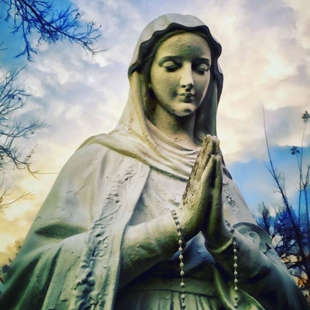 Meet your Posher, Jeoffrey